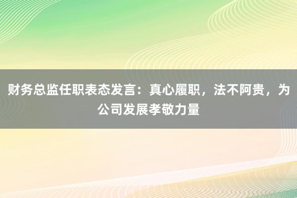 财务总监任职表态发言：真心履职，法不阿贵，为公司发展孝敬力量