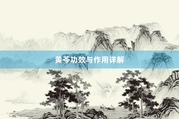 黄芩功效与作用详解